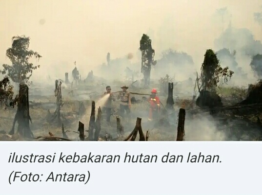 Jokowi: Tak Ada Kompromi Bagi Pembakar Hutan